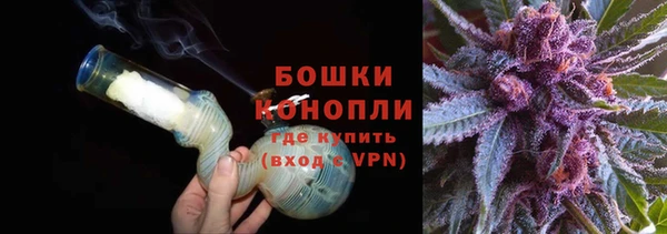 мяу мяу мука Абаза
