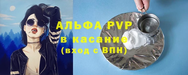 мяу мяу мука Абаза