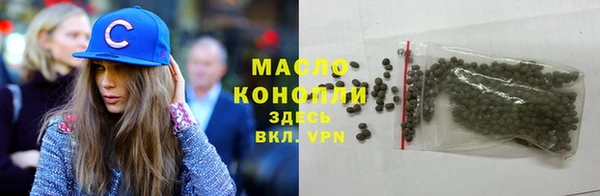 индика Осинники