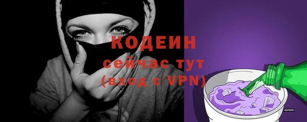 индика Осинники
