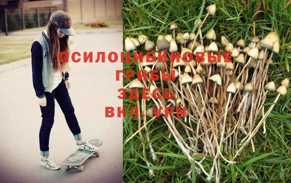 прущий лед Корсаков